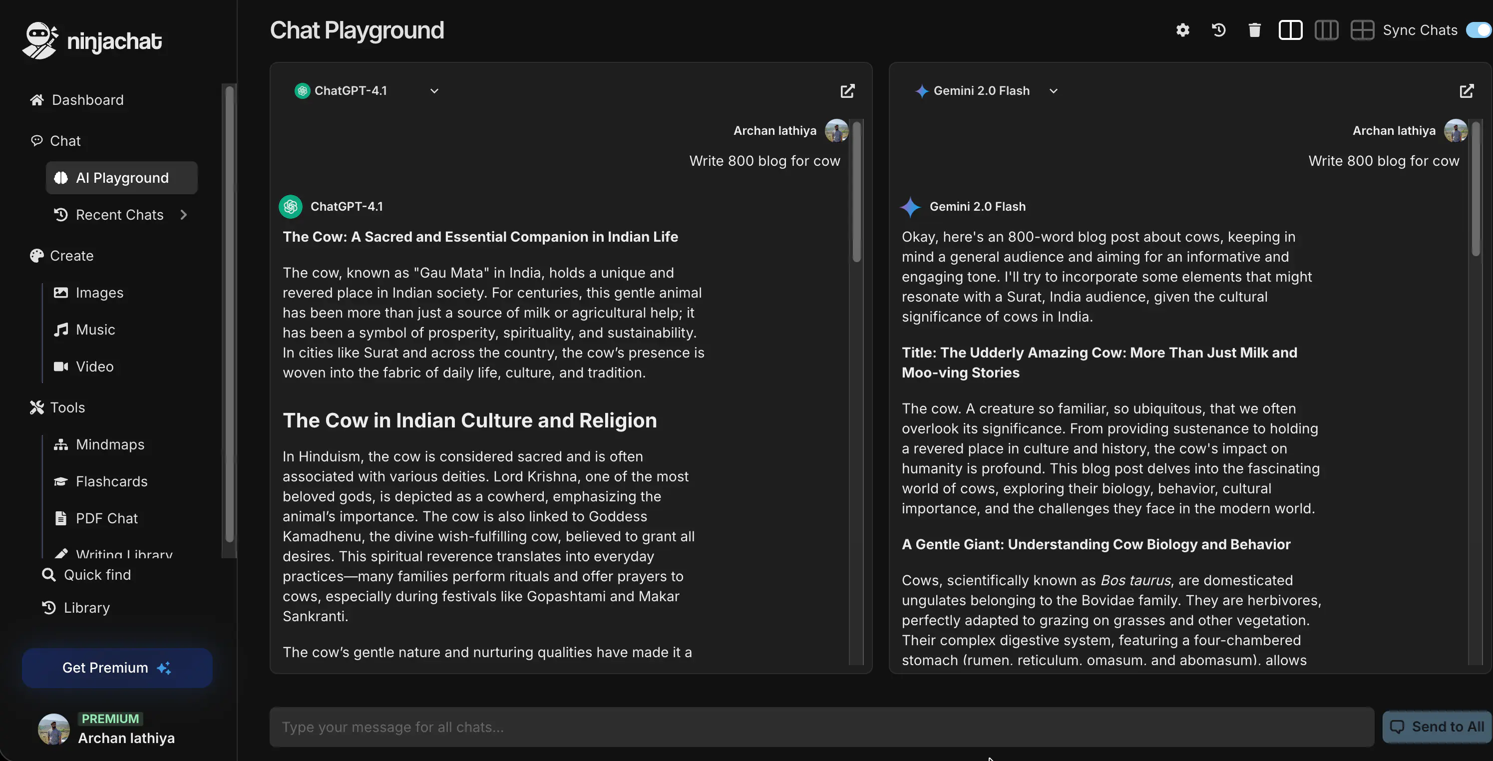 Multi-Model Chat Interface
