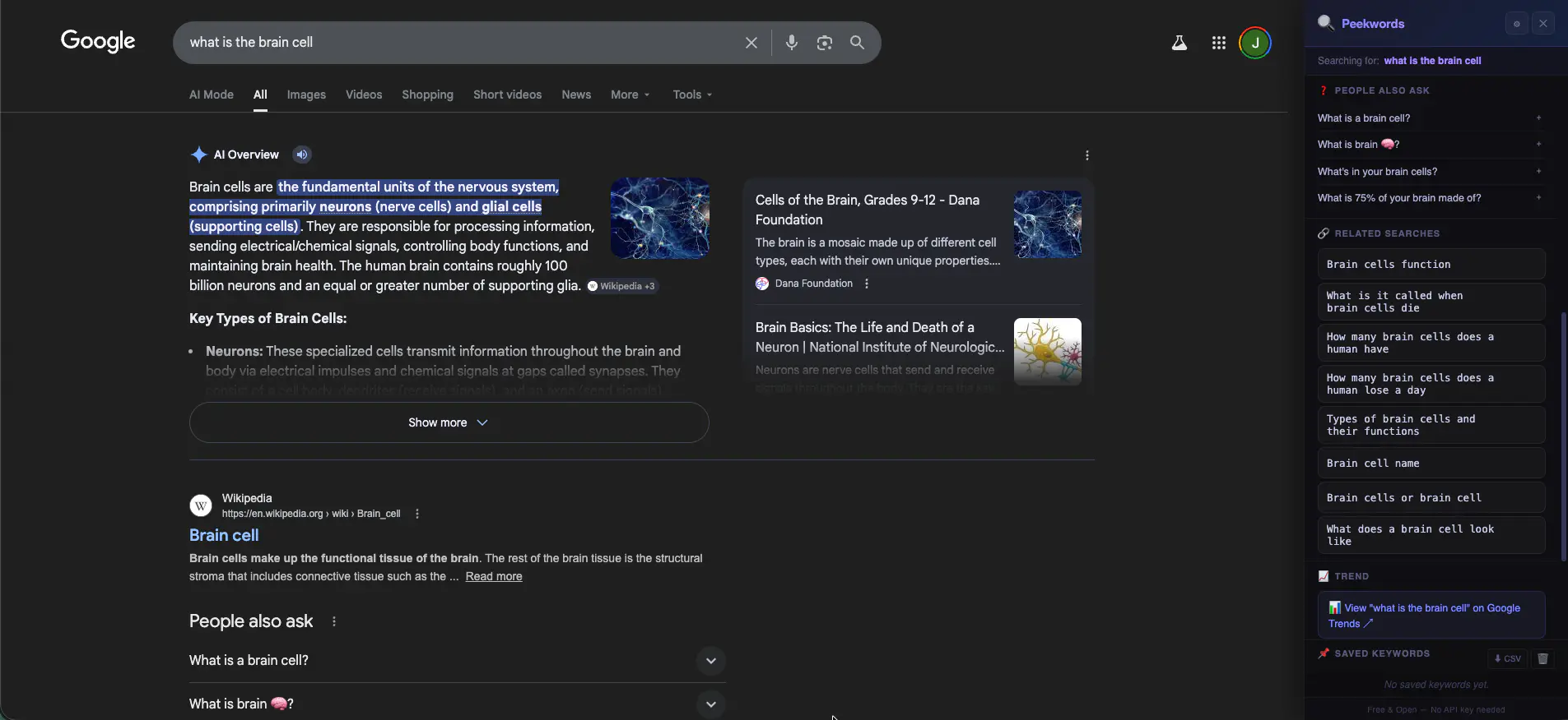 People Also Ask & Related Searches