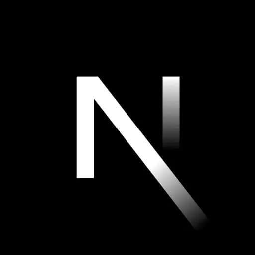 Next Js Development